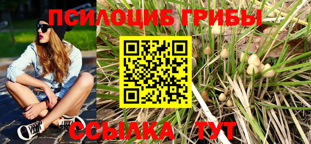 Псилоцибиновые грибы Cubensis Зерноград